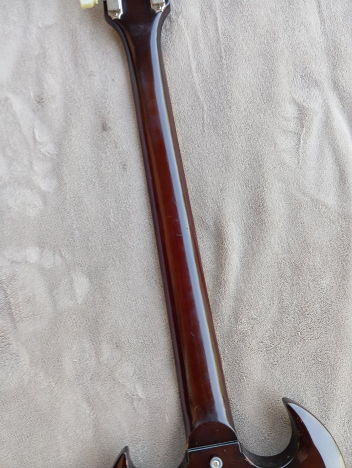 Edwards SG Japan by ESP