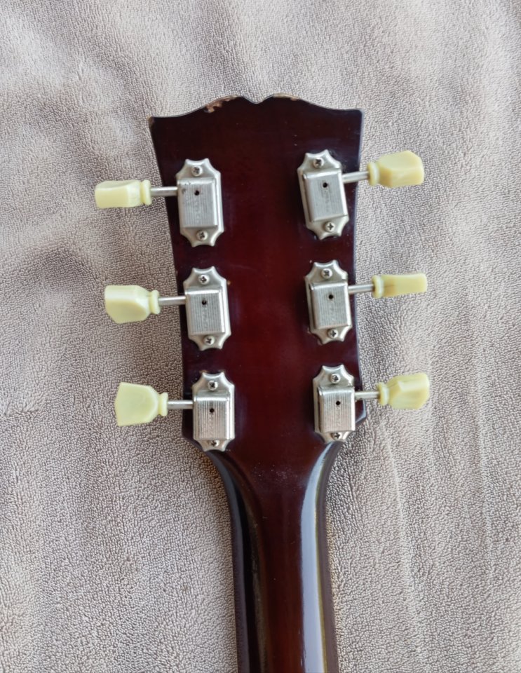 Edwards SG Japan by ESP