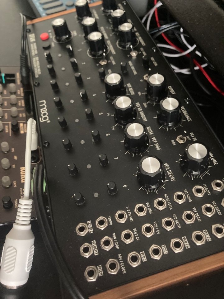 Moog Dfam sintetizador analógico