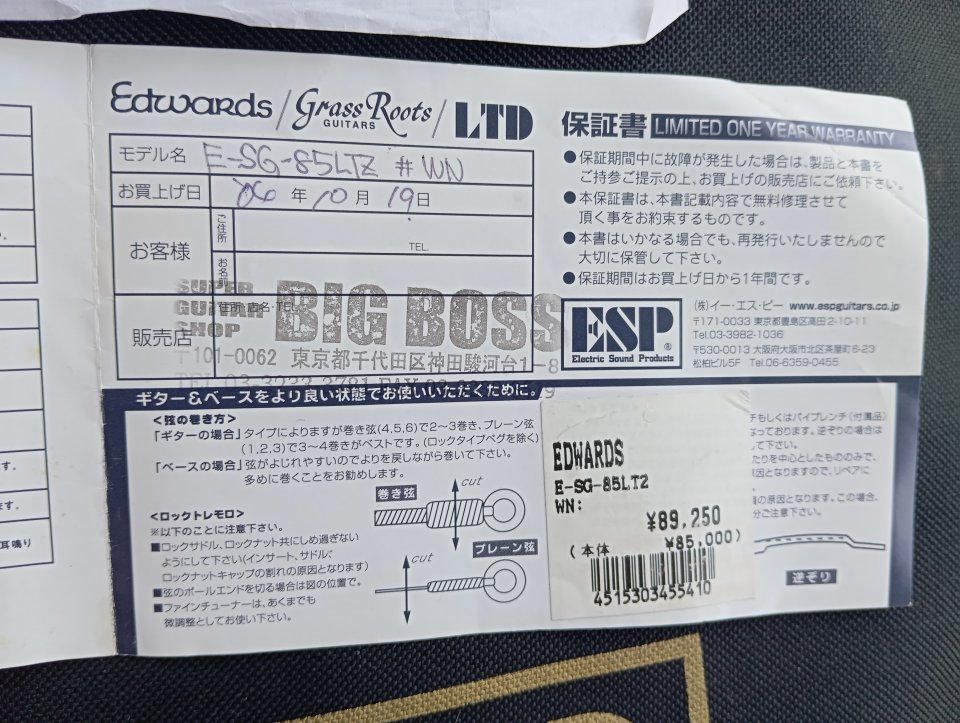 Edwards SG Japan by ESP