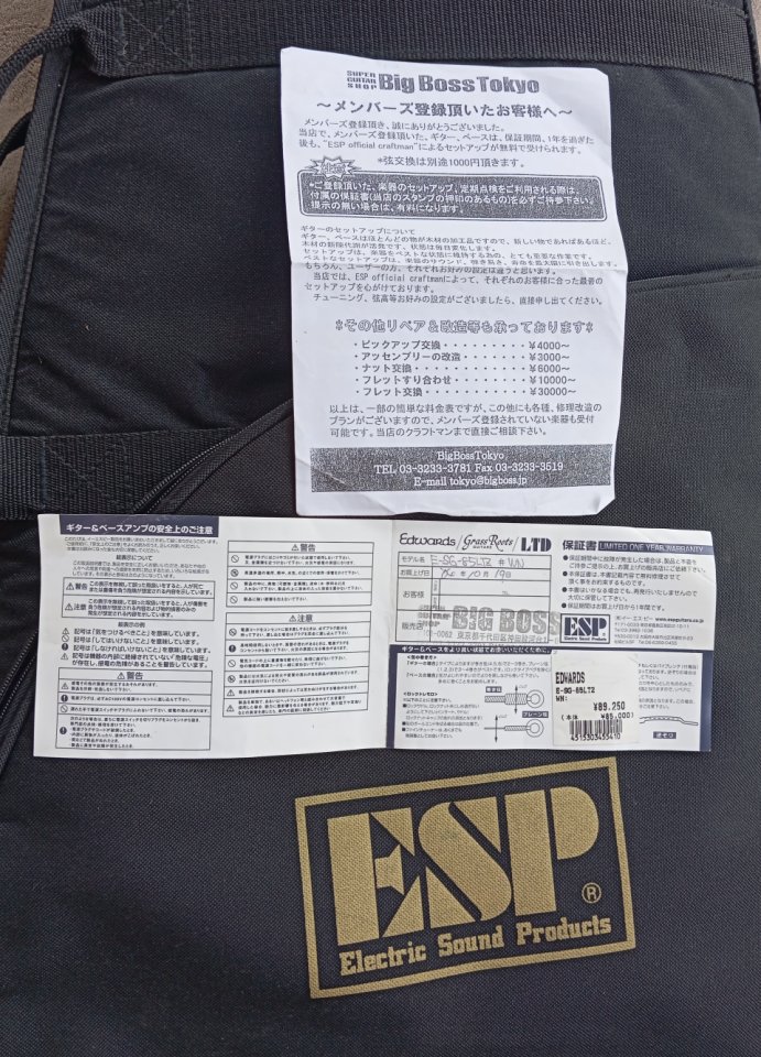 Edwards SG Japan by ESP