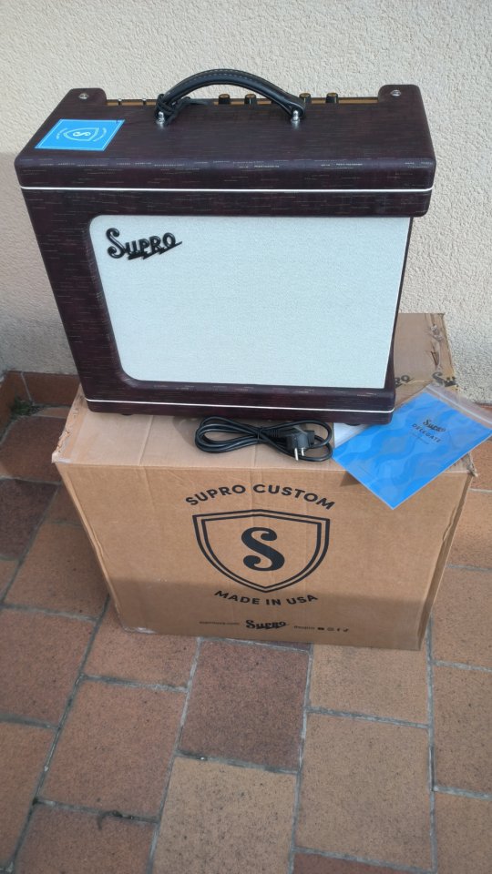 Supro Delegate Custom de segunda mano · Foto 2 de 8 · Segovia · 1900 €