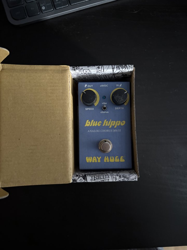 Way Huge Blue Hippo (Smalls) de segunda mano · Foto 2 de 2 · Madrid · 100 €