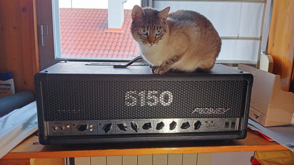 Vendo Amplificador de Guitarra Peavey 5150 con pantalla peavey