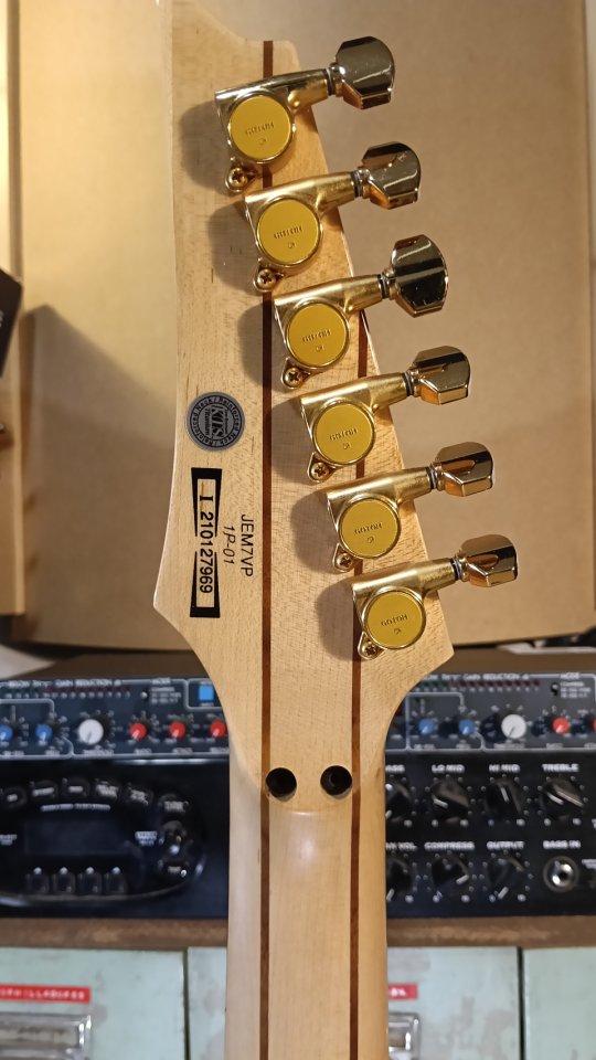 Ibanez JEM7VP-WH Steve Vai Signature + Gigbag