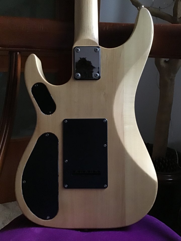 Washburn Nuno Bettencourt 125 euros Hasta fin de mes