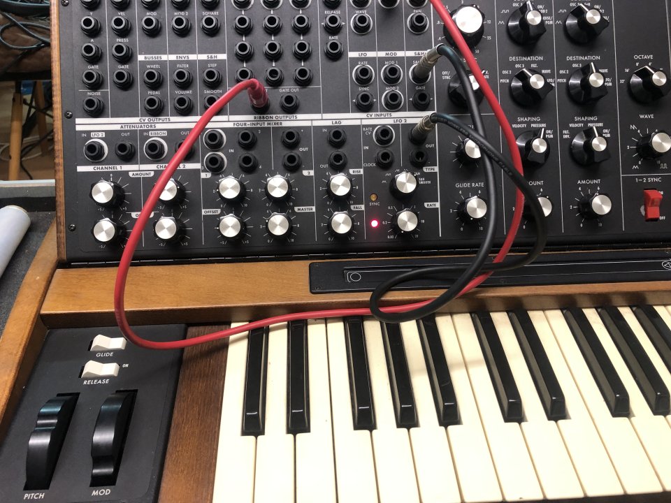 Moog Voyager XL