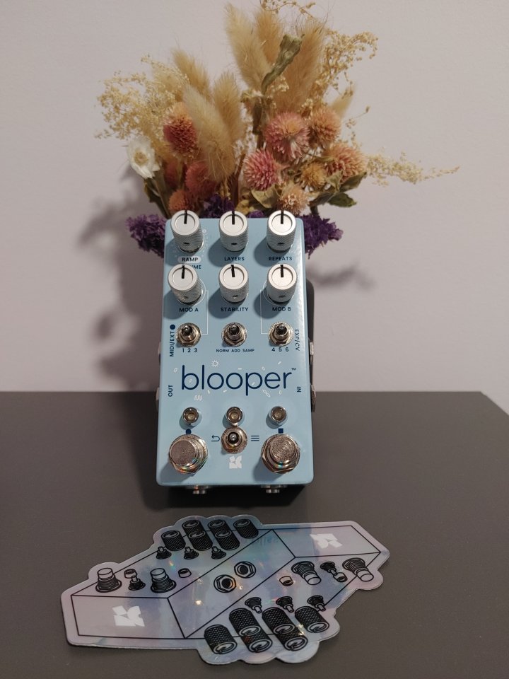 Chase Bliss Audio Blooper de segunda mano · Madrid