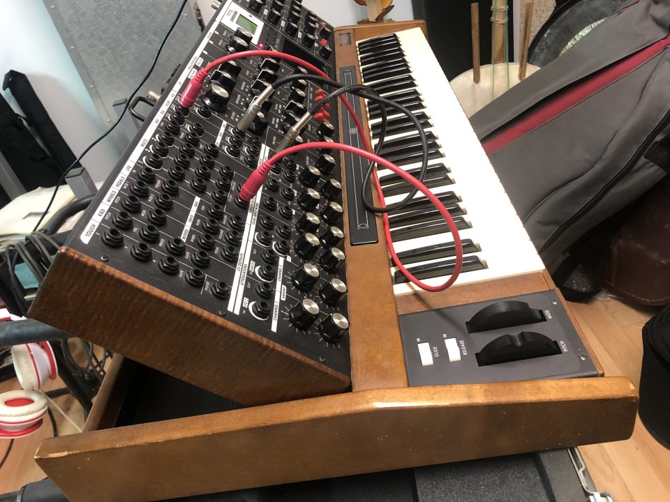 Moog Voyager XL