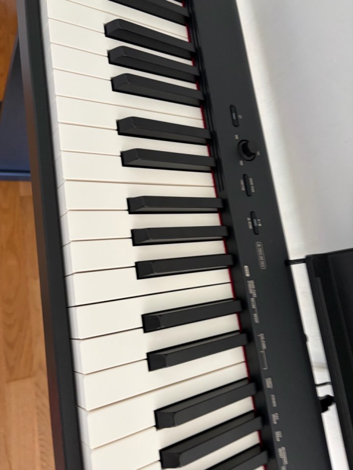 LOTE Casio cdp S-160 (3 pedales+ mueble+ asiento+ tela roja) de segunda mano · Foto 6 de 6 · Murcia · 499 €