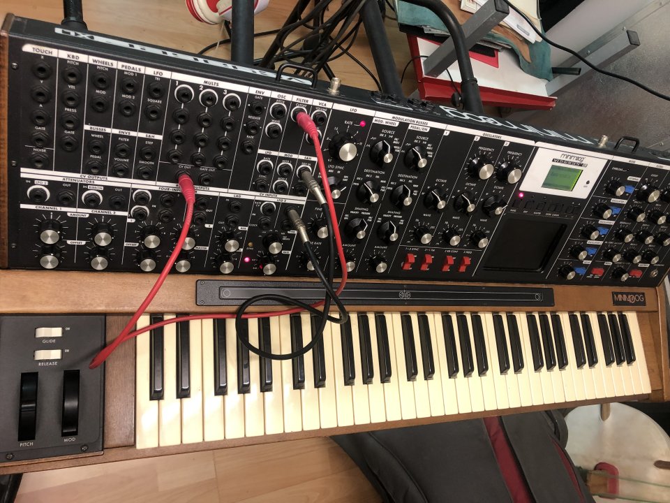 Moog Voyager XL