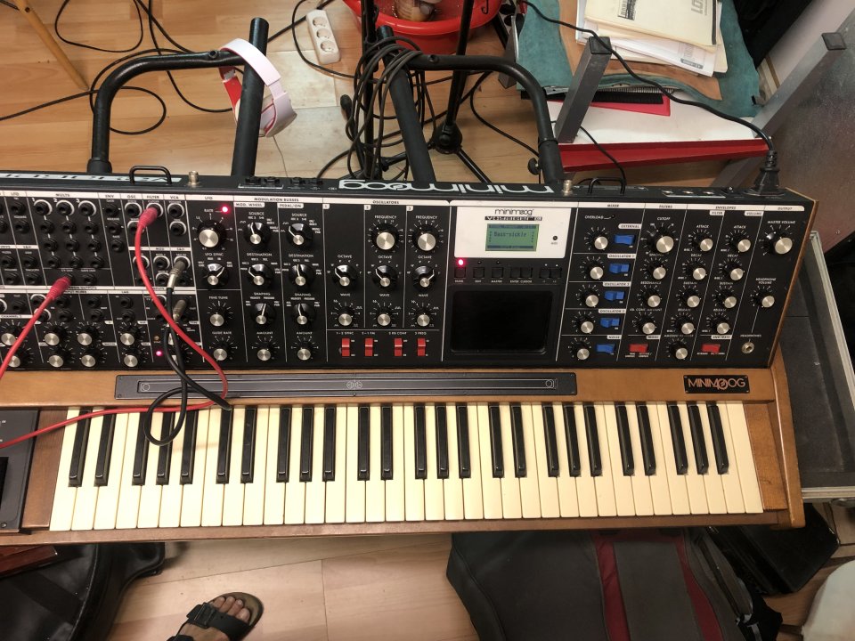 Moog Voyager XL