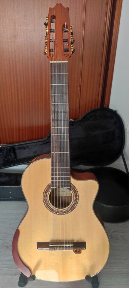 Guitarra clásica Ibanez de 7 cuerdas