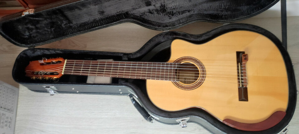 Guitarra clásica Ibanez de 7 cuerdas