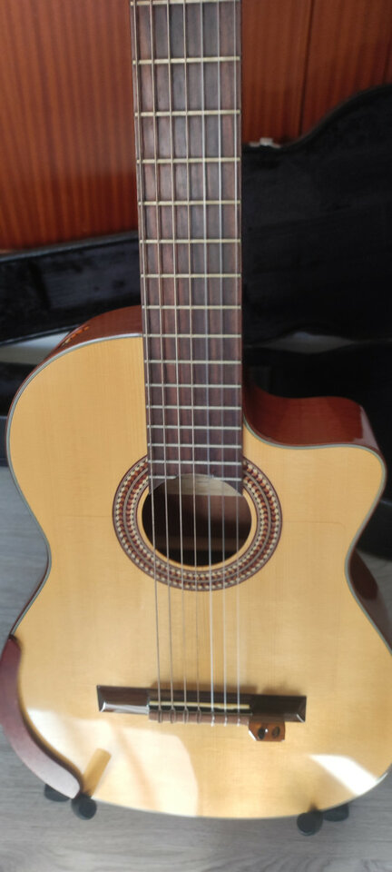 Guitarra clásica Ibanez de 7 cuerdas