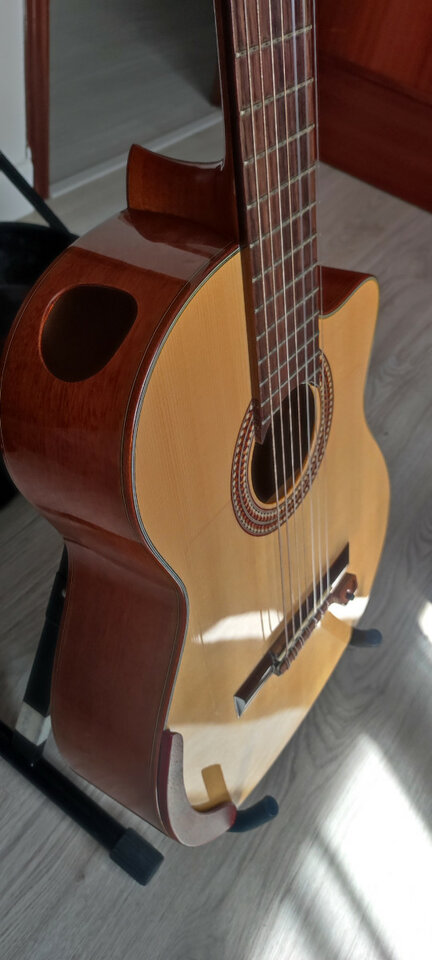 Guitarra clásica Ibanez de 7 cuerdas