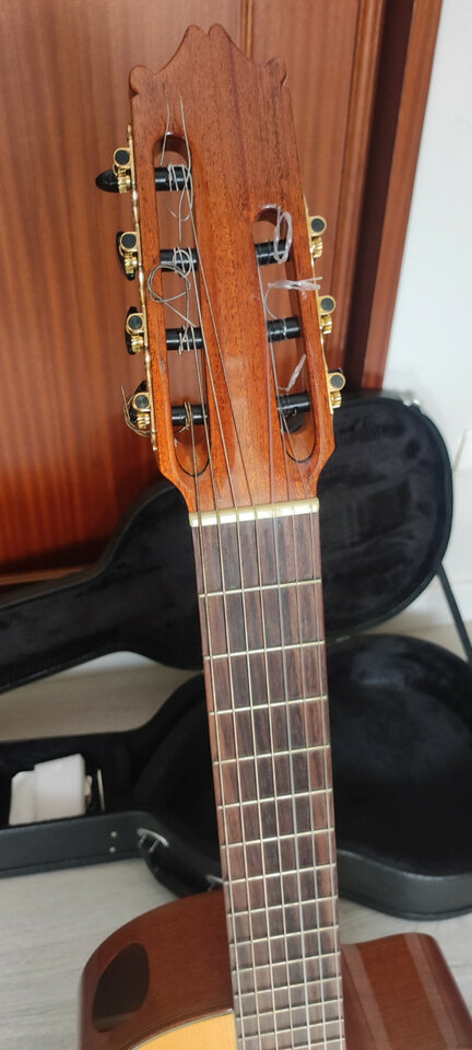 Guitarra clásica Ibanez de 7 cuerdas