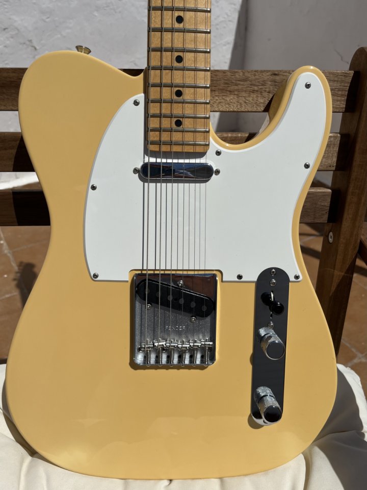Fender American Performer Telecaster MN VWT
