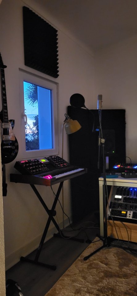 Minimoog Voyager con Flight Case da Thomann de segunda mano · Foto 3 de 3 · Barcelona · 2400 €