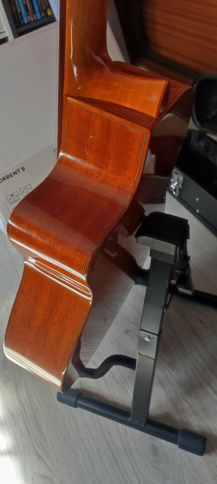 Guitarra clásica Ibanez de 7 cuerdas