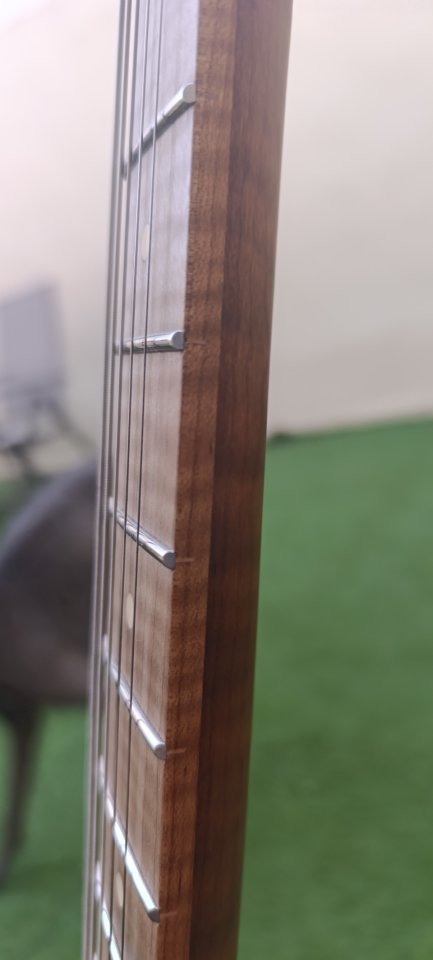 Harley Benton Fusion Telecaster de segunda mano · Foto 3 de 5 · Jaén · 290 €