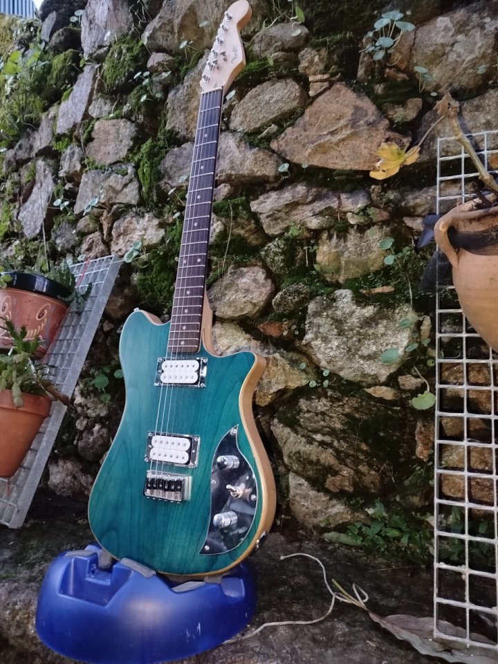 Guitarra de Luthier Vieites