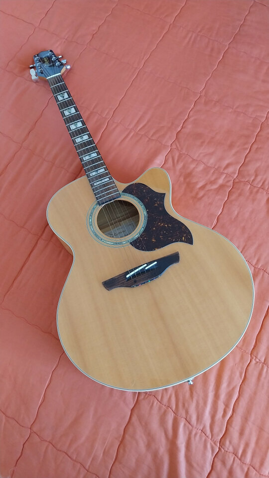 Takamine G Series