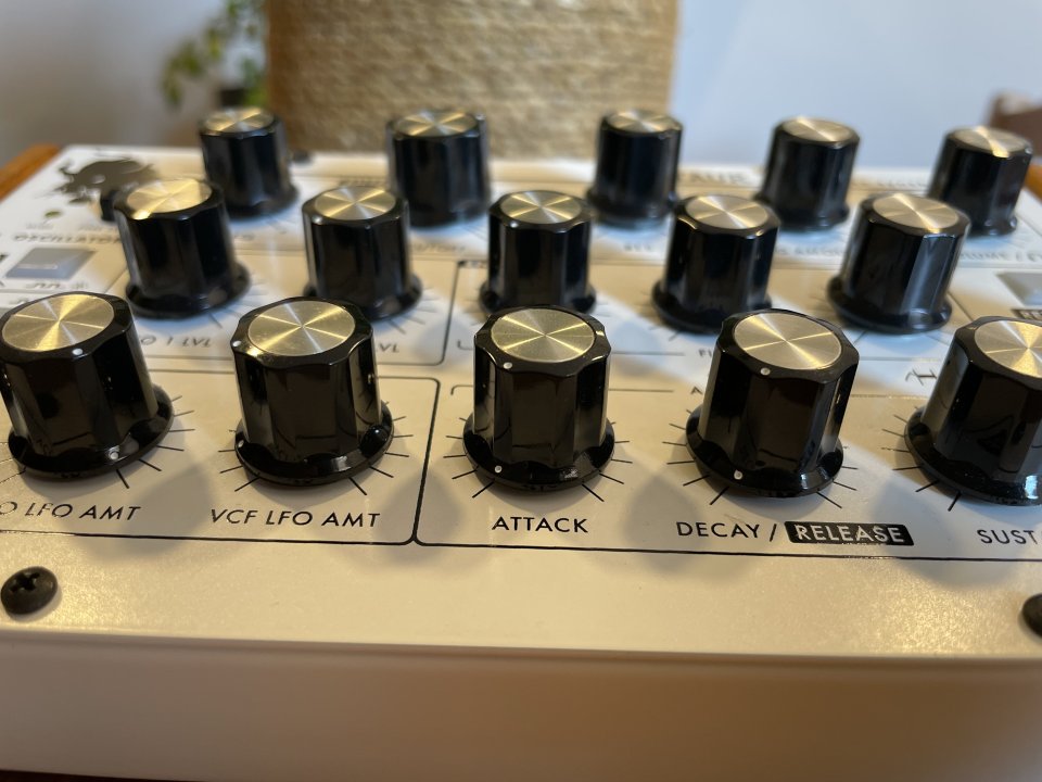 Moog Minitaur Blanco (edición limitada)