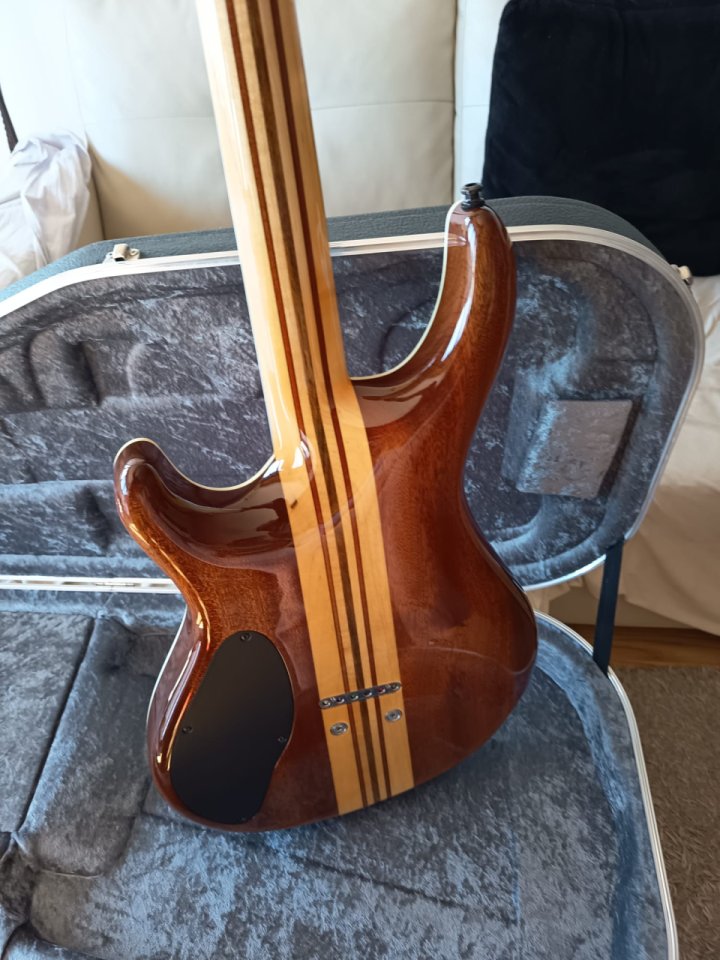 Mayones Regius 6 Custom Blanca