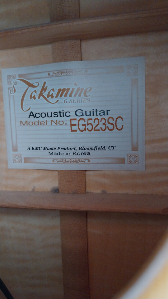 Takamine G Series