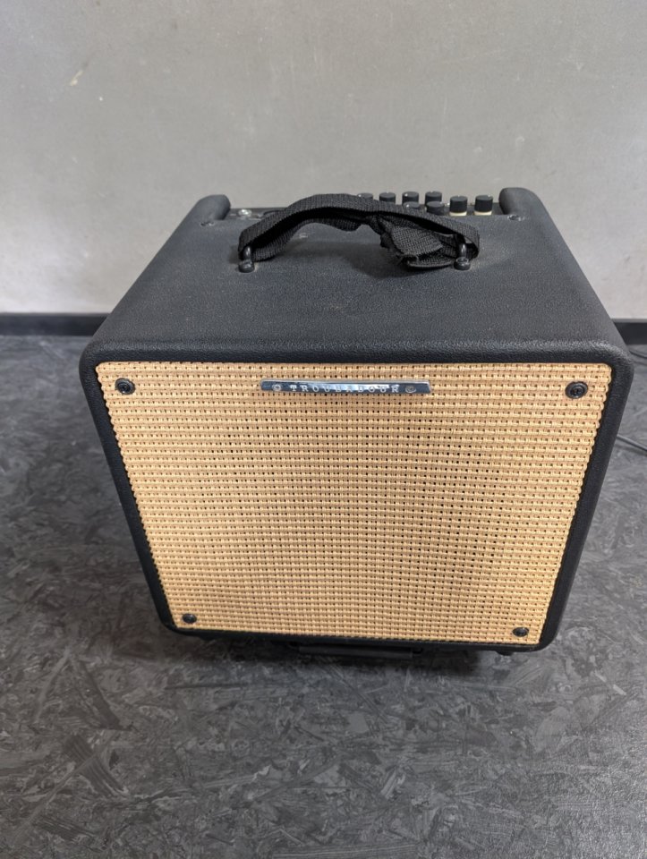 Amplificador guitarra acústica y voz Ibanez Troubadour T80w