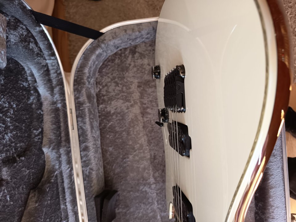 Mayones Regius 6 Custom Blanca