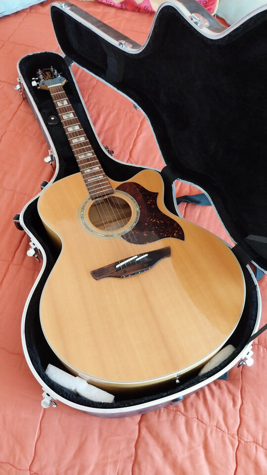 Takamine G Series