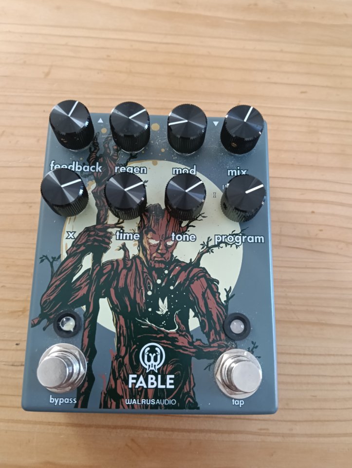 Walrus Fable de segunda mano · Foto 1 de 8 · Murcia · 240 €