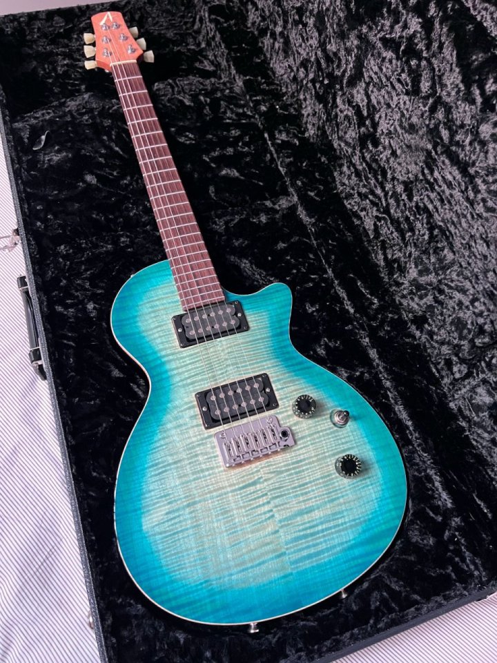 Tom Anderson Bobcat custom. Fotos.  CAMBIOS