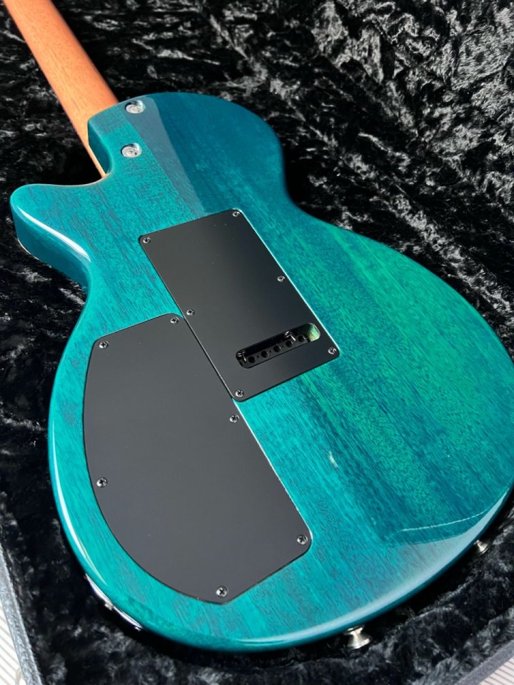 Tom Anderson Bobcat custom. Fotos.  CAMBIOS