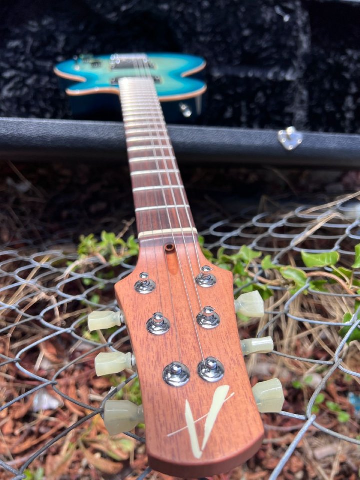 Tom Anderson Bobcat custom. Fotos.  CAMBIOS