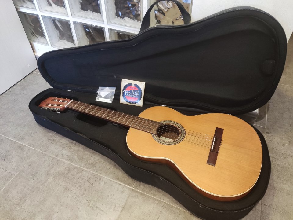 Alhambra Z-Nature + estuche rígido + extras