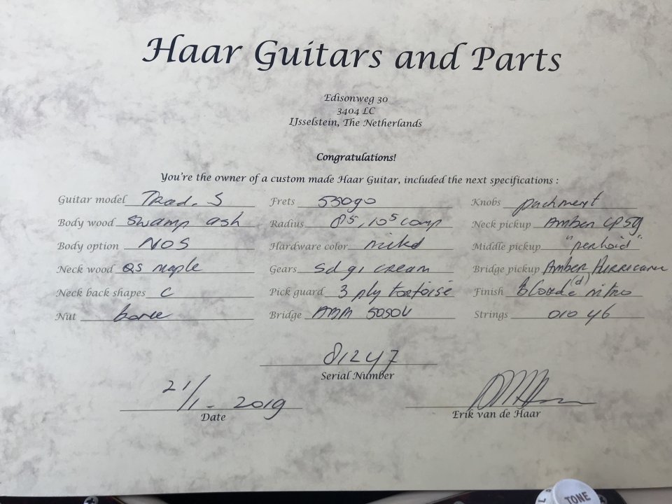 Haar Trad S Landau -Stratocaster-