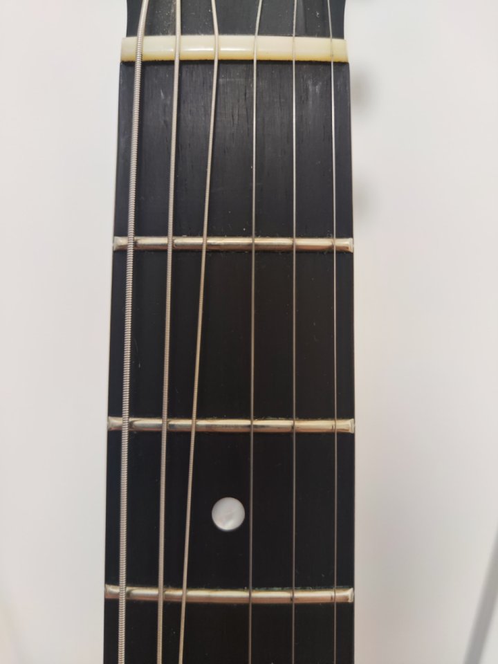 Eastman Les Paul Junior SB55/V-SB