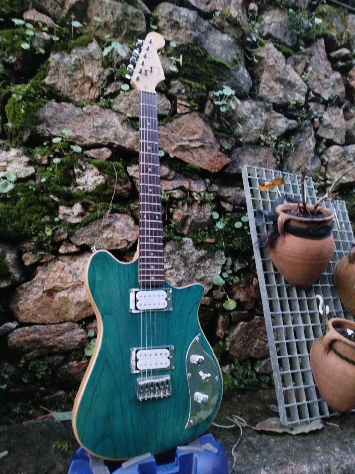 Guitarra de Luthier Vieites