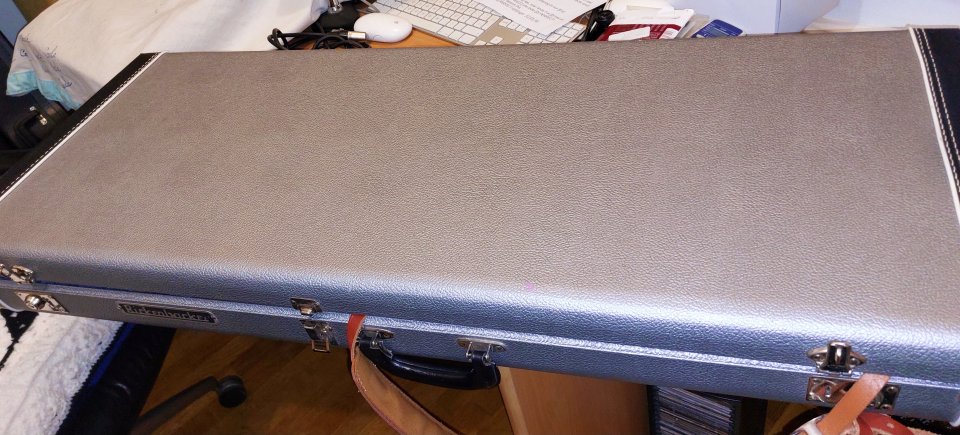 Rickenbacker 360/12 CW Signature (Carl Wilson, The Beach Boys), Edición Limitada.