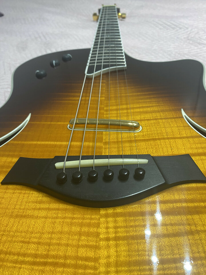 Taylor T5 Custom c1