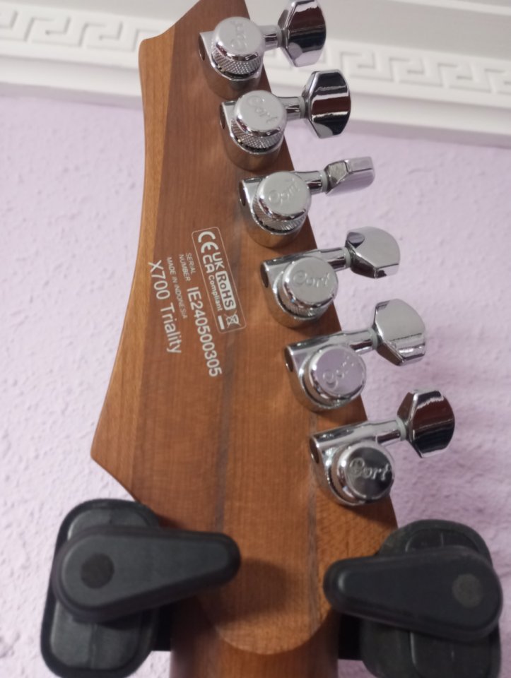 Cort triality x700 como nueva de segunda mano · Foto 2 de 10 · Bizkaia · 750 €