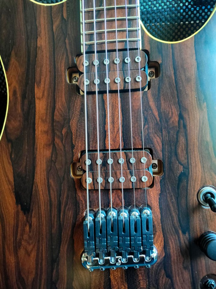 Rusti Paradox Ziricote (superstrato de boutique)