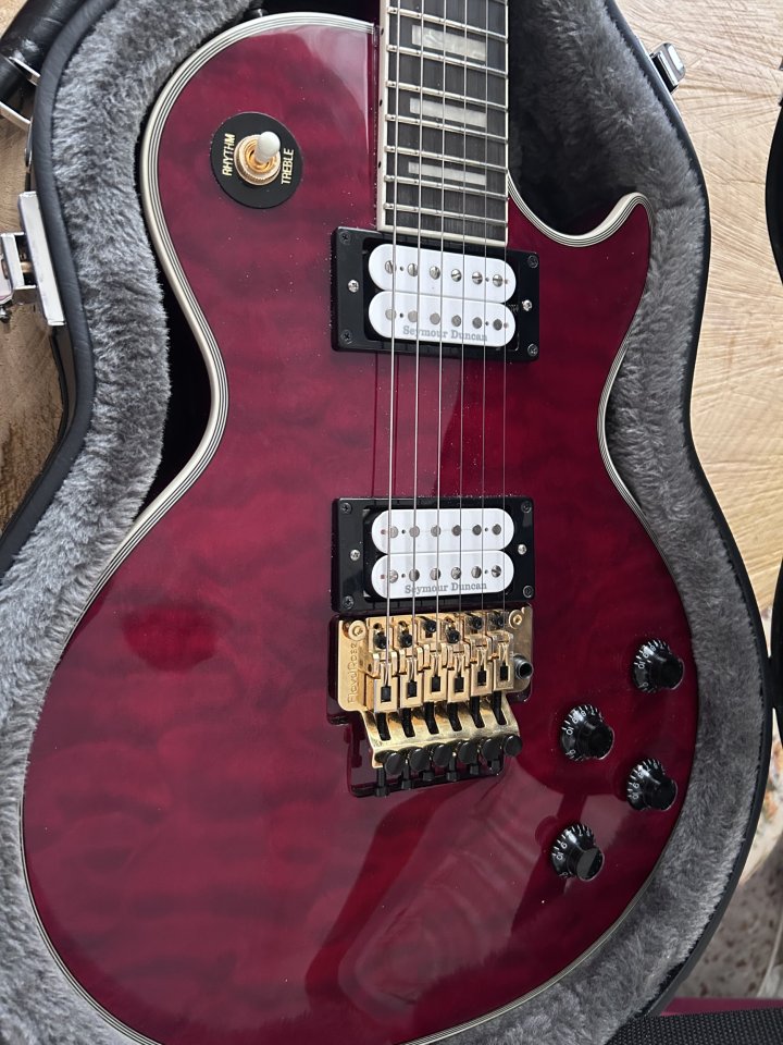 Epiphone Alex Lifeson Les Paul Custom Axcess Ruby de segunda mano · Foto 6 de 9 · Valencia · 900 €