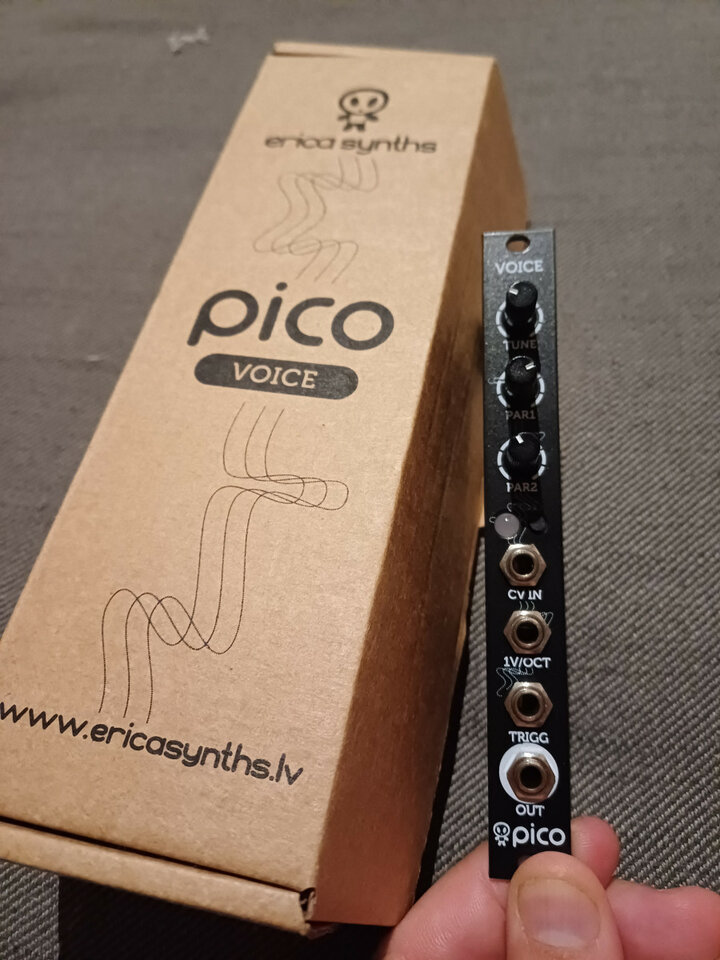 Erica Pico Voice Eurorack