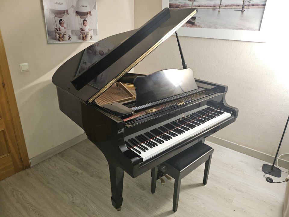 Piano cola Young Chang de segunda mano · Foto 2 de 7 · Toledo · 4800 €
