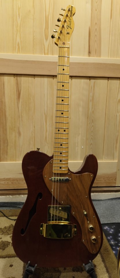 Fender telecaster thinline '69 (MIM)