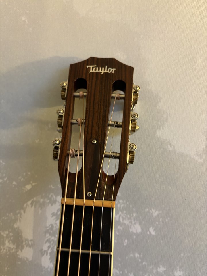 Taylor GC8